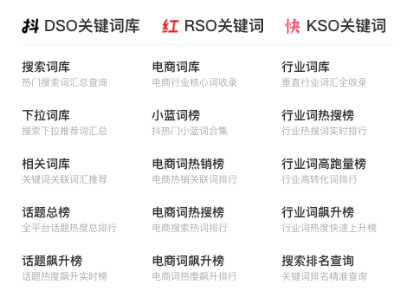 DSO代运营预览图